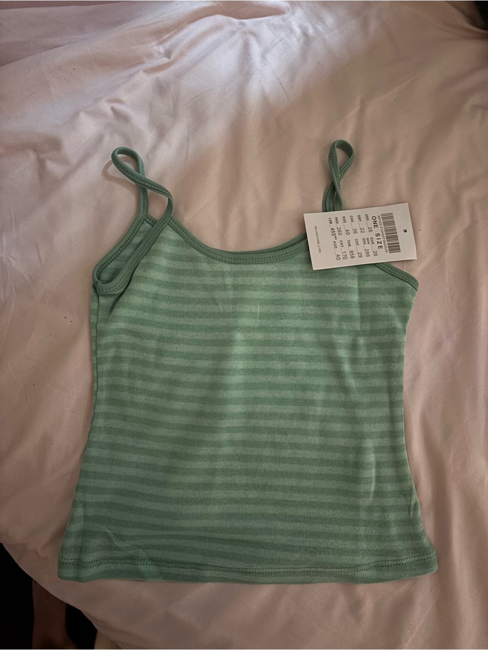Brandy Melville Mint Green Striped Spaghetti Strap Tank